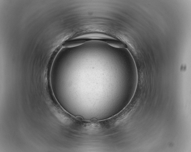 X0000091090398200708131324
