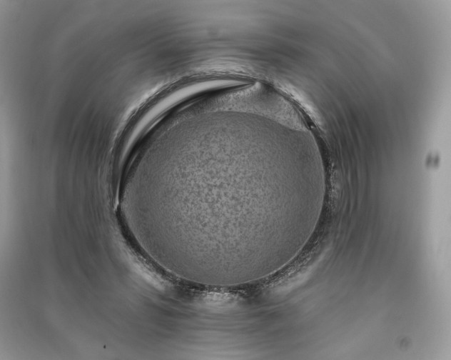 X0000091090399200708131324