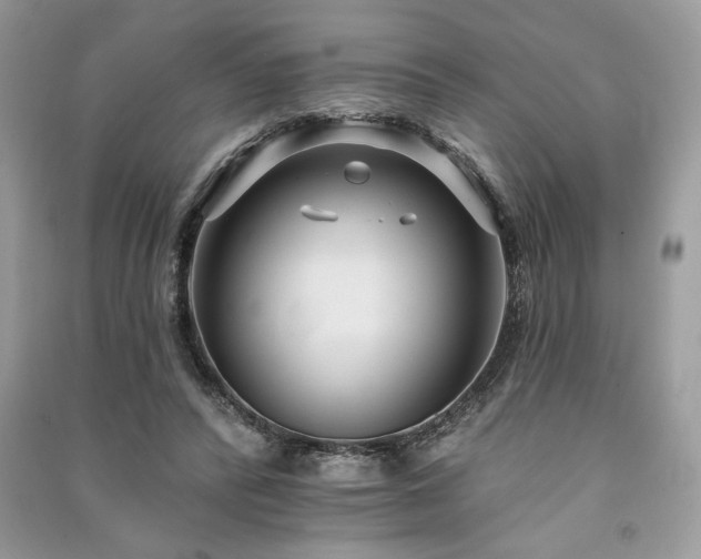 X0000091090400200708131324