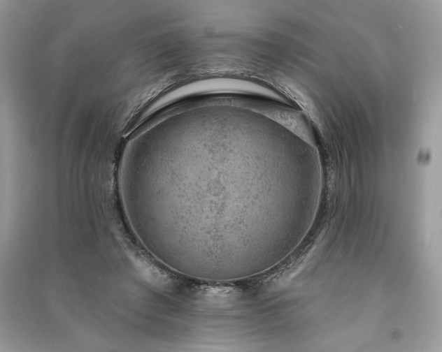 X0000091090401200708131324