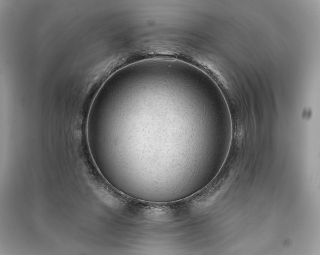 X0000091090402200708131324