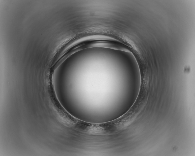 X0000091090403200708131324