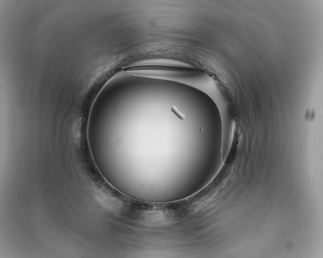 X0000091090404200708131324