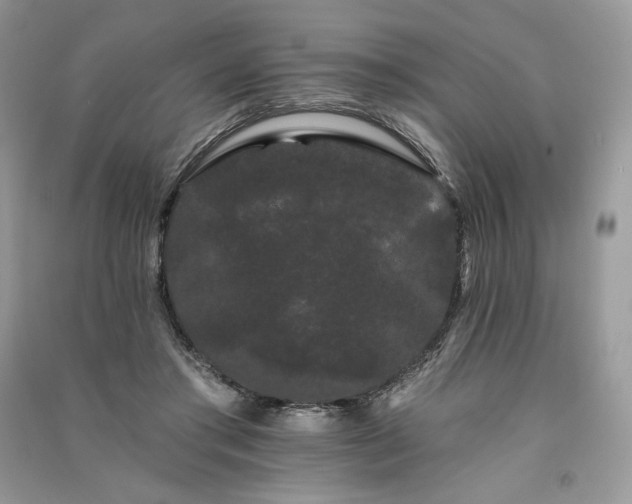 X0000091090405200708131324