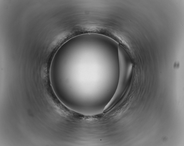 X0000091090407200708131324