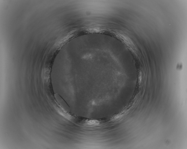 X0000091090409200708131324