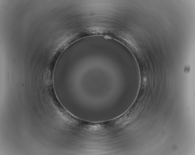 X0000091090411200708131324