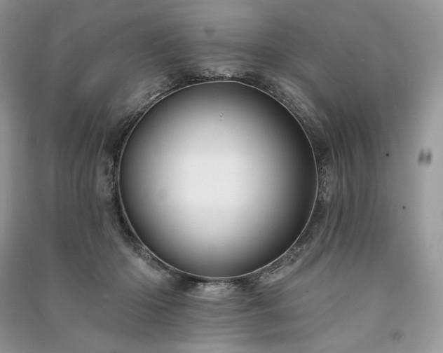X0000091090414200708131324