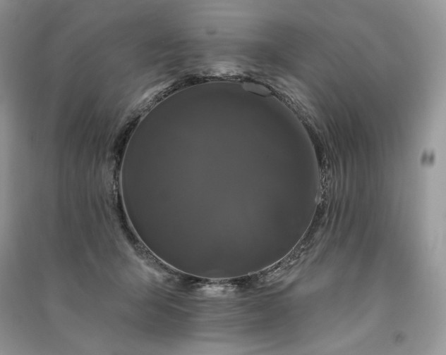 X0000091090415200708131324