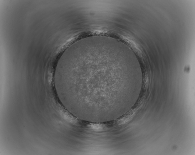 X0000091090417200708131324