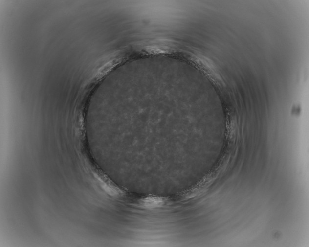 X0000091090418200708131324