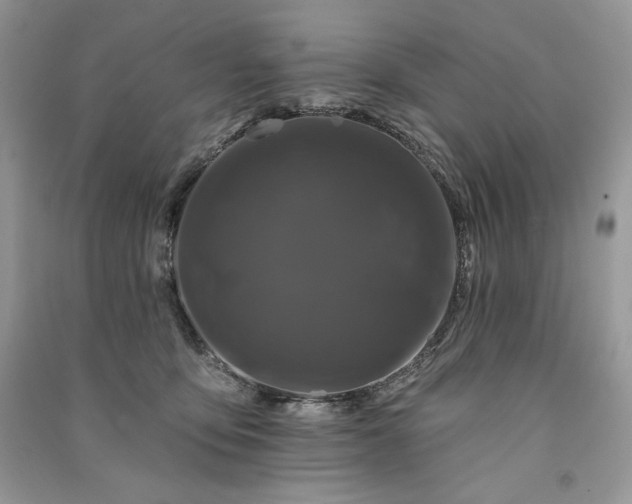X0000091090419200708131324