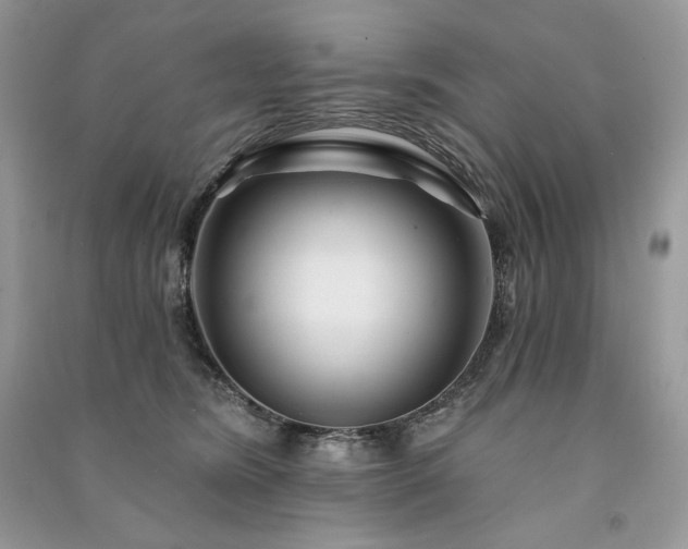 X0000091090420200708131323