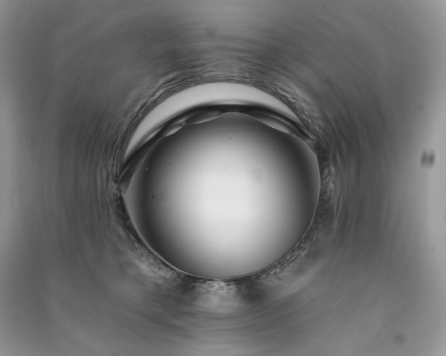 X0000091090421200708131323