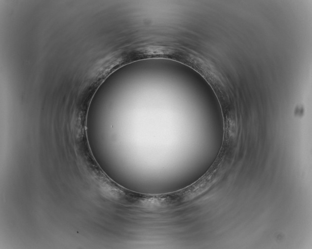X0000091090422200708131323