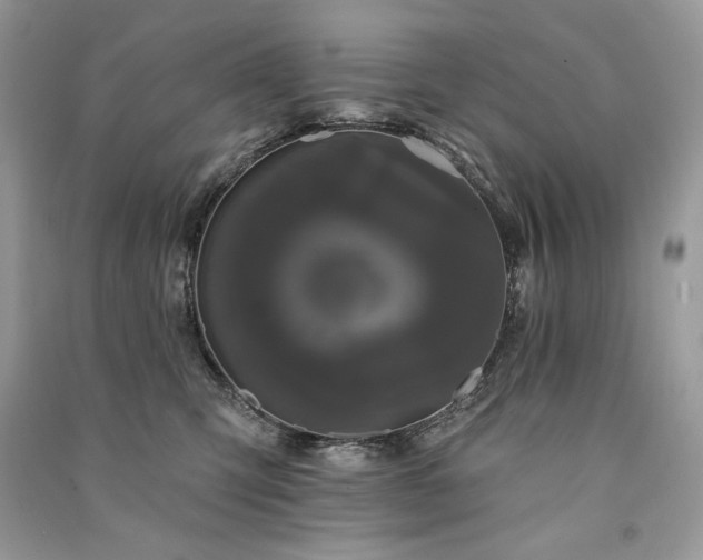 X0000091090423200708131323
