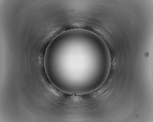 X0000091090424200708131323