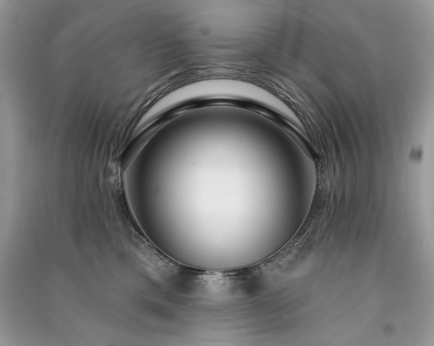 X0000091090425200708131323