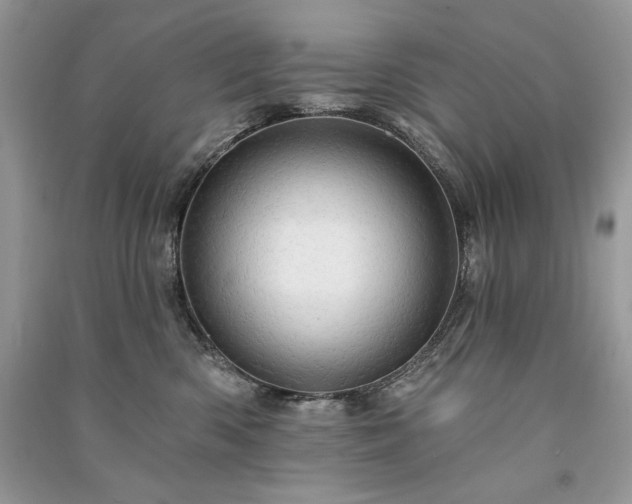 X0000091090426200708131323