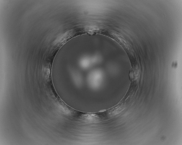 X0000091090427200708131323