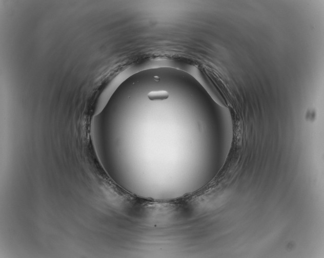 X0000091090428200708131323