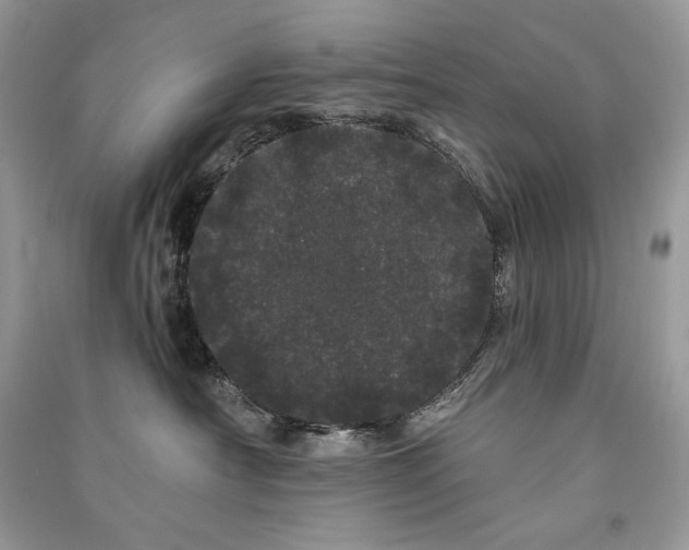 X0000091090430200708131323