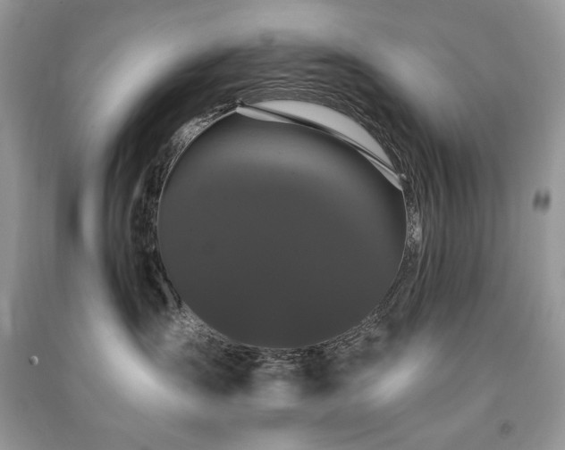 X0000091090431200708131323