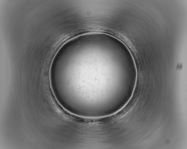 X0000091090433200708131323