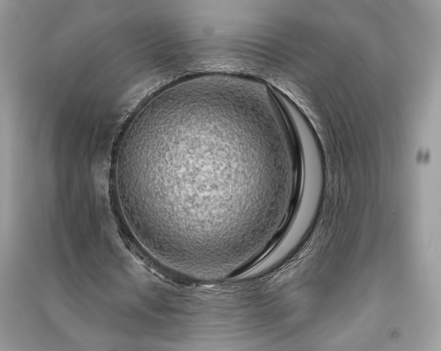 X0000091090434200708131323