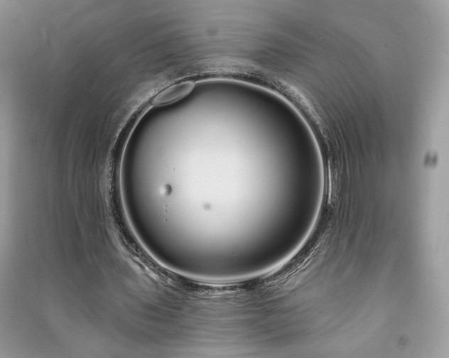 X0000091090435200708131323