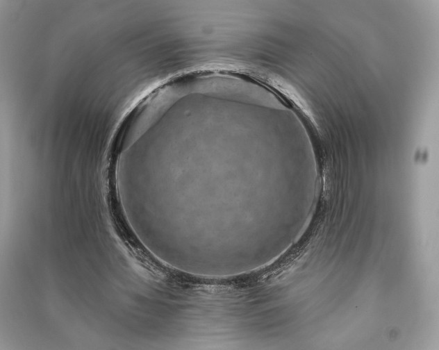 X0000091090436200708131323