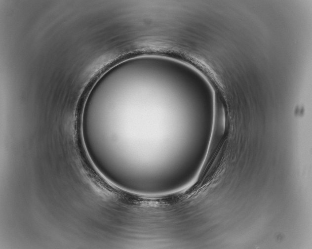 X0000091090439200708131323