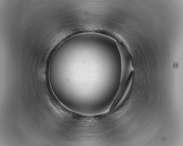 X0000091090443200708131323