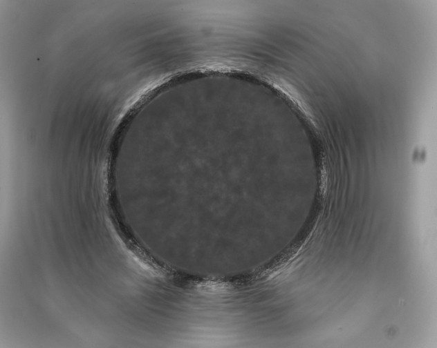 X0000091090444200708131323