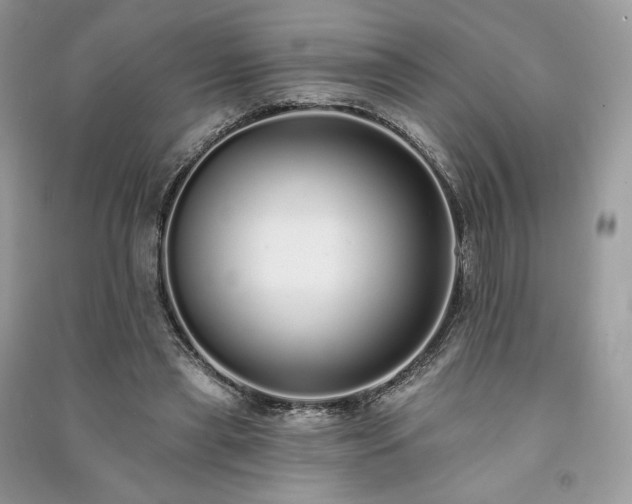 X0000091090445200708131323