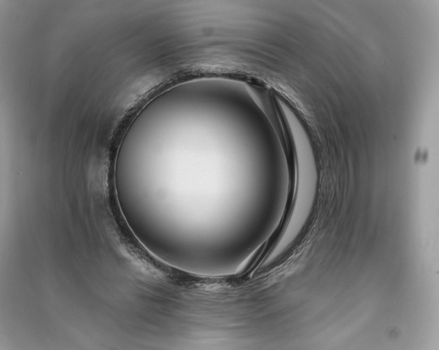 X0000091090446200708131323