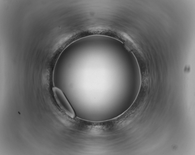 X0000091090448200708131323