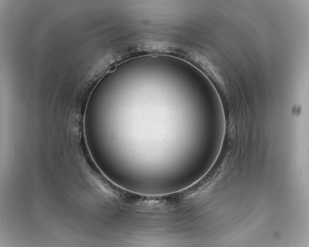 X0000091090449200708131323