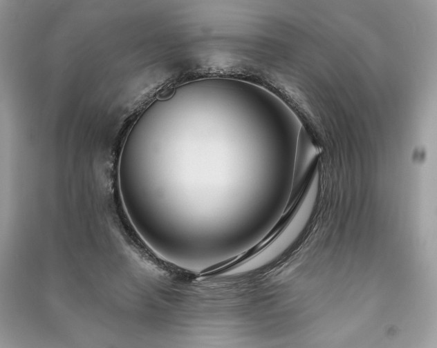 X0000091090450200708131323