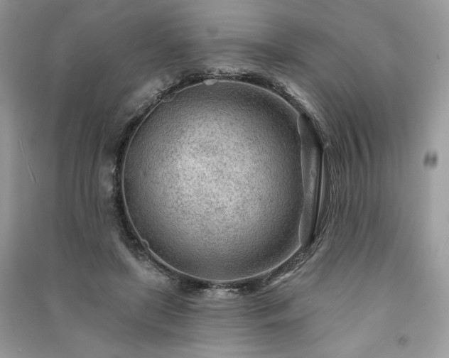 X0000091090451200708131323