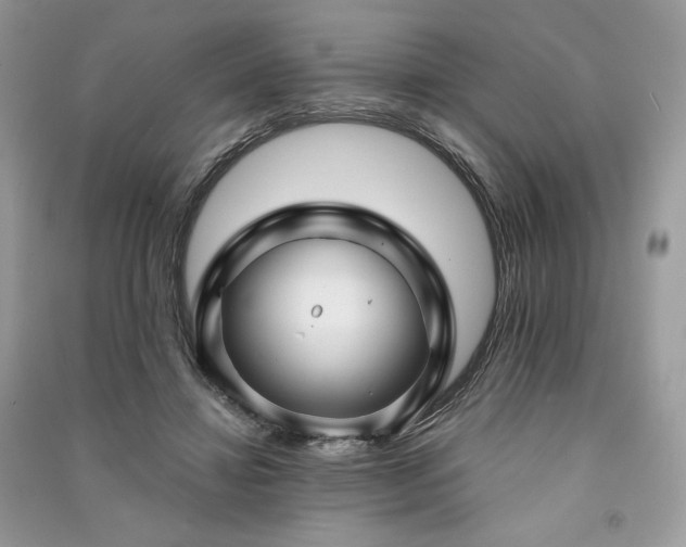 X0000091090452200708131323