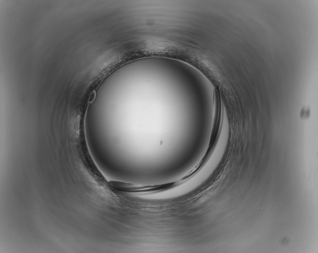 X0000091090454200708131323