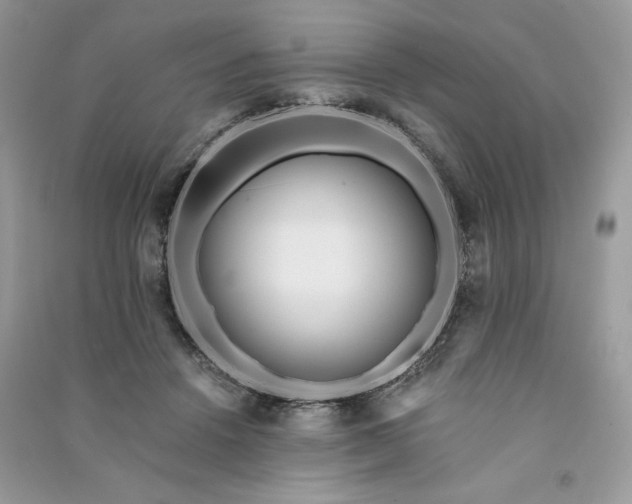 X0000091090456200708131323