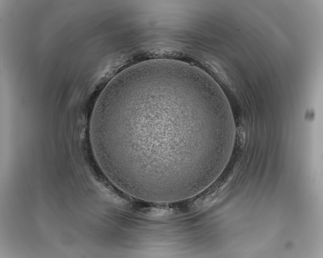 X0000091090458200708131323