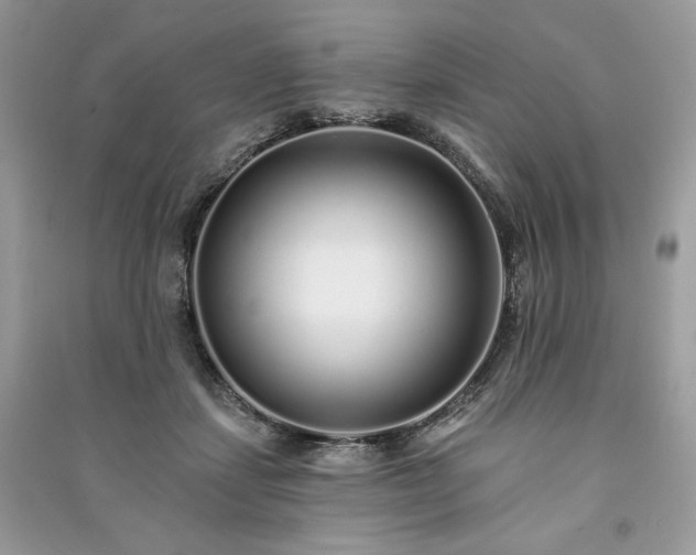 X0000091090459200708131323