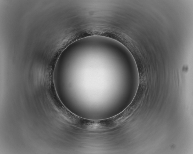 X0000091090460200708131323