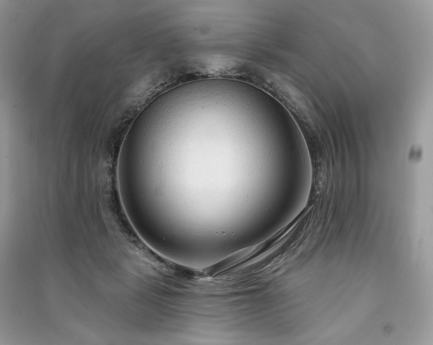 X0000091090461200708131323