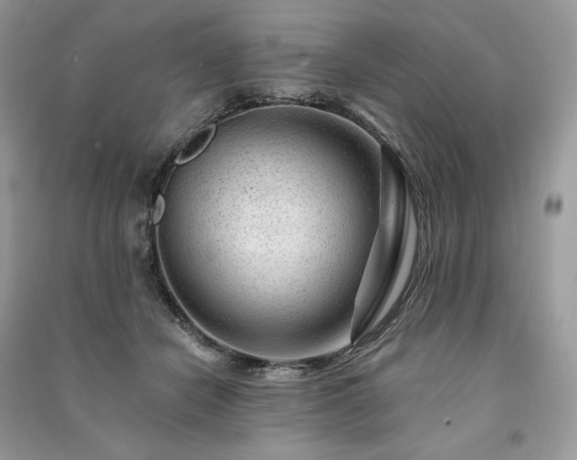 X0000091090462200708131323