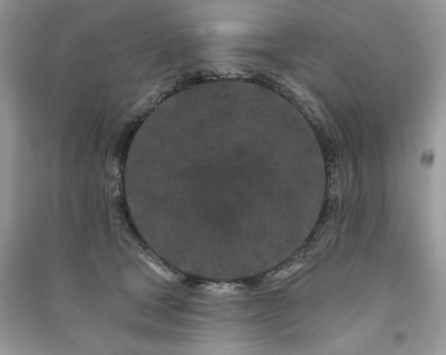 X0000091090465200708131323