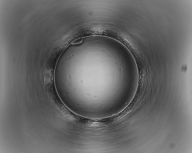 X0000091090467200708131323